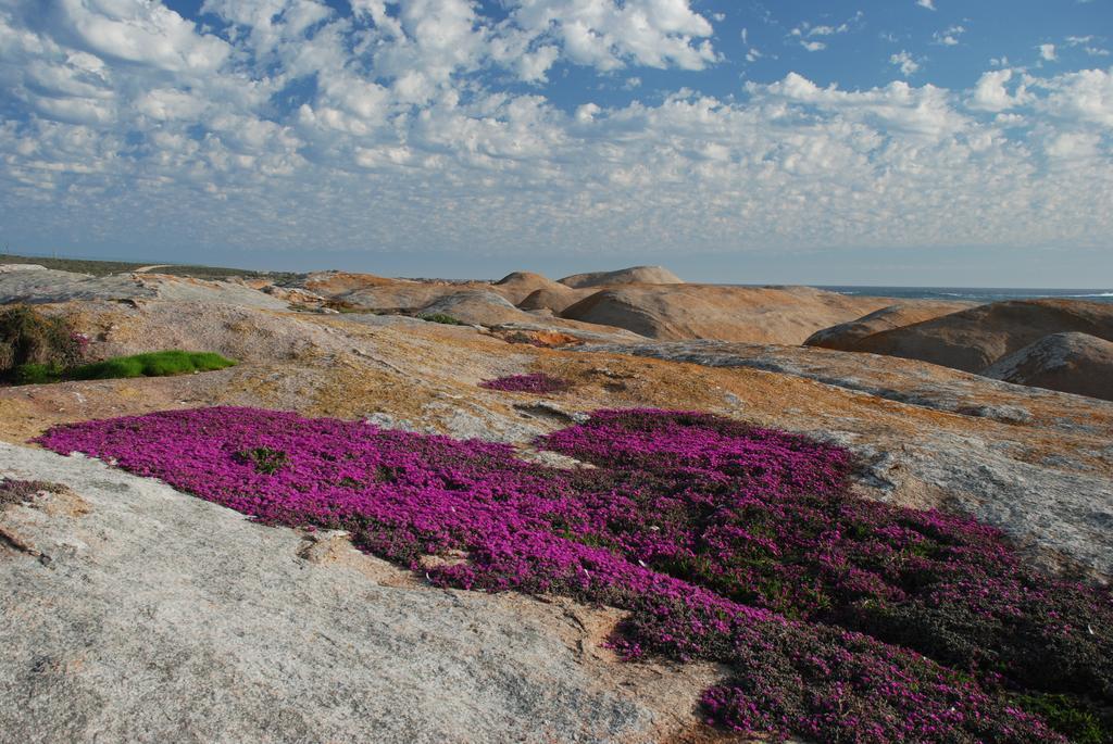 The Oystercatchers Haven At Paternoster Zewnętrze zdjęcie